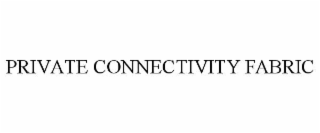 private connectivity fabric