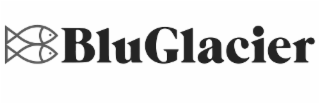 bluglacier