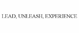 lead, unleash, experience