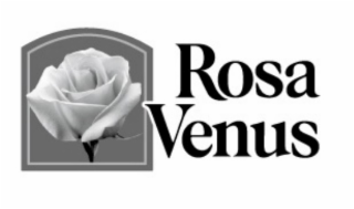 rosa venus