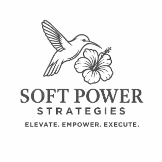 soft power strategies elevate. empower. execute.