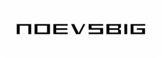 noevsbig