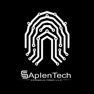 sapientech consulting llc