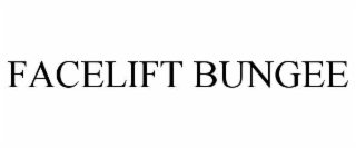 facelift bungee