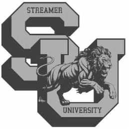 streamer university