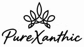 purexanthic