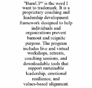 "burnup" is the word i want to trademark. it is a proprietary coaching and leadership development framework designed to help individuals and organizations prevent burnout and reignite purpose. the program includes live and virtual workshops, retreats, coa