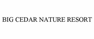 big cedar nature resort