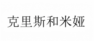 the mark consists of four chinese characters.