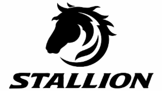 stallion