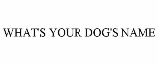 what's your dog's name