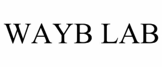 wayb lab