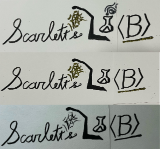 scarlett’s lab la[<b>] ___