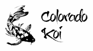 colorado koi