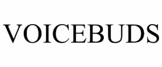 voicebuds