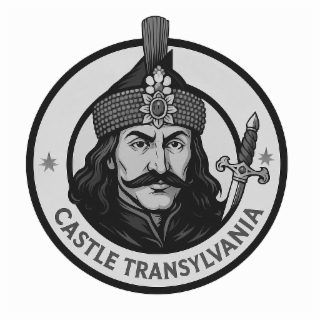 castle transylvania
