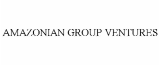 amazonian group ventures