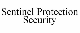 sentinel protection security