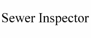 sewer inspector