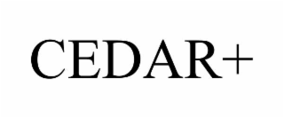 cedar+
