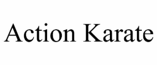 action karate