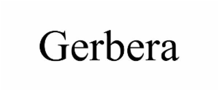 gerbera