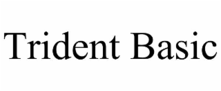 trident basic