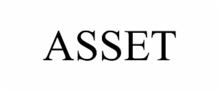 asset