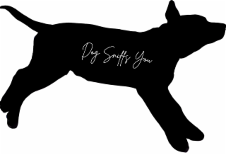 dog sniffs you