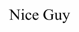 nice guy