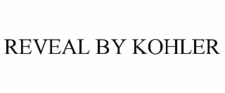 reveal by kohler