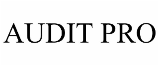 audit pro