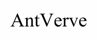 antverve