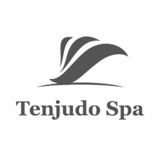 tenjudo spa