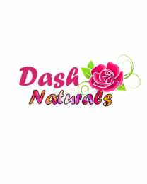 dash naturals