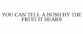 you can tell a bush by the fruit it bears