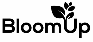 bloom up