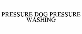 pressure dog pressure washing