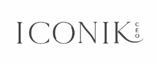 iconik ceo