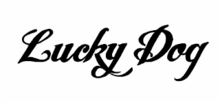lucky dog