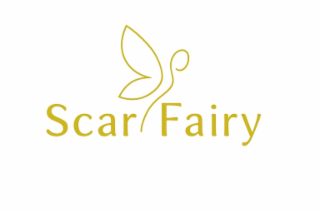 scar fairy