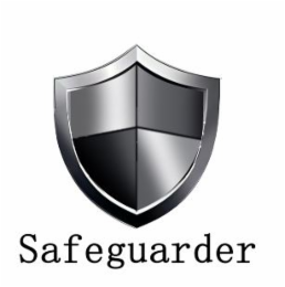 safeguarder