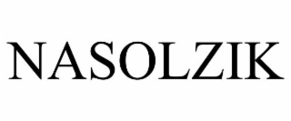 nasolzik