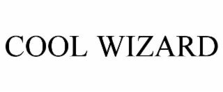 cool wizard