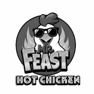 mr. feast hot chicken