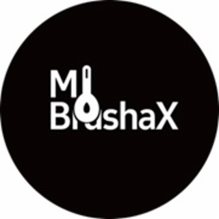 mi brushax