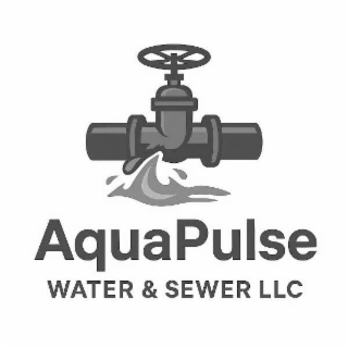 aquapulse water & sewer llc