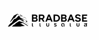 bradbase