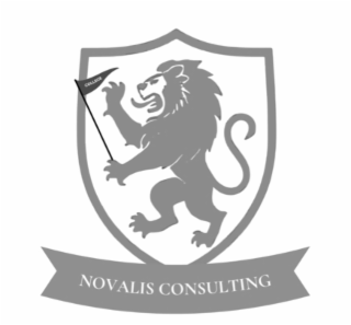 novalis college consulting