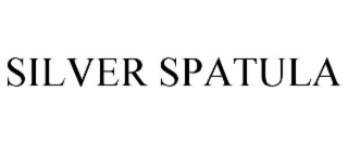 silver spatula